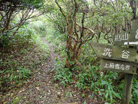 d0182075_21012790.jpg