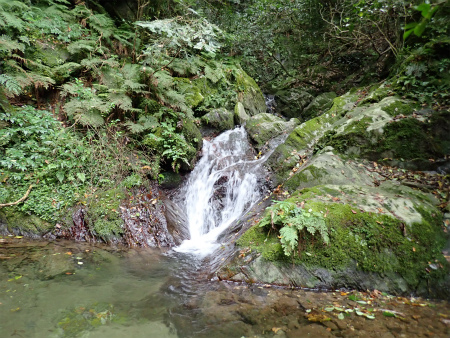 d0182075_21020995.jpg