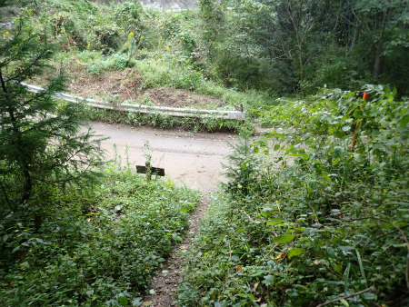 d0182075_21021856.jpg