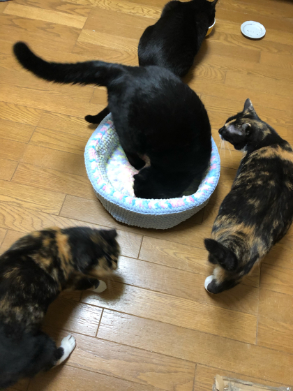 阿武隈川まで(>_<)_e0355177_17542283.jpg