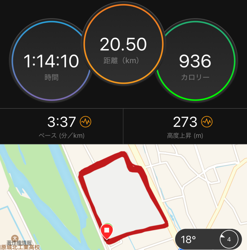 長期低迷中_f0310282_17353692.jpeg