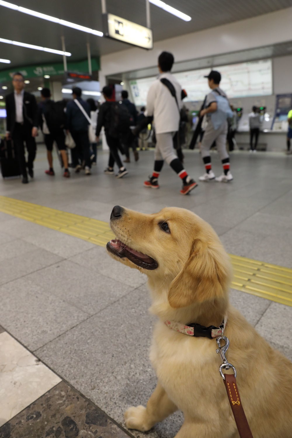 駅前留学♪_b0275998_23260344.jpg