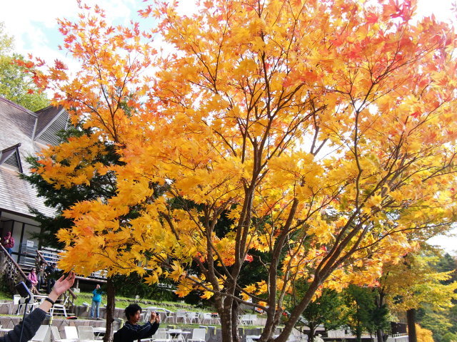 近郊の紅葉②　10/13豊平峡_c0360399_17064801.jpg