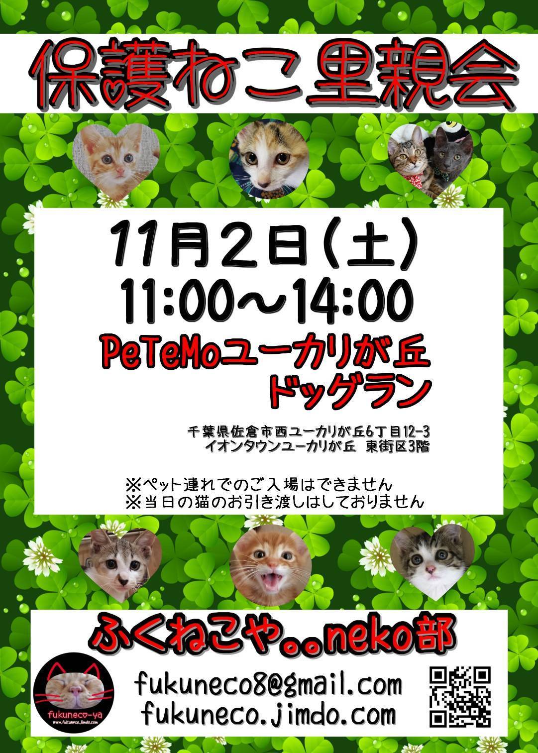 つくばくんです!よろしくです!!_f0242002_11030488.jpg