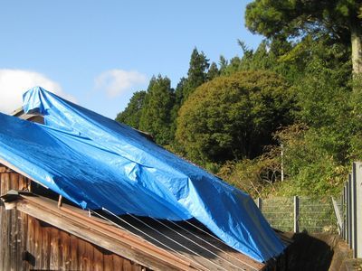 d0138203_14381375.jpg