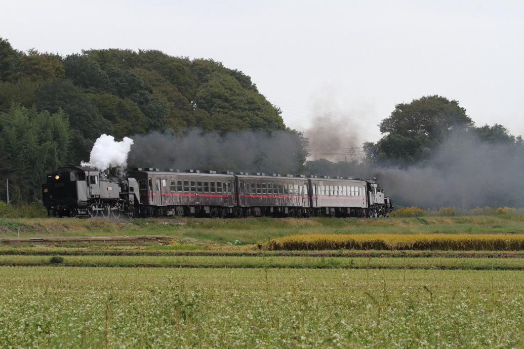 重連の日の朝 - 2019年秋・真岡鉄道 -_b0190710_21460499.jpg