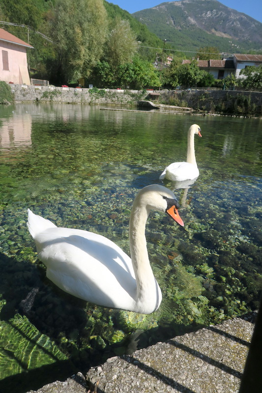 清らかな水と白鳥とああ罰金、リエーティ 聖スザンナの泉_f0234936_7473445.jpg