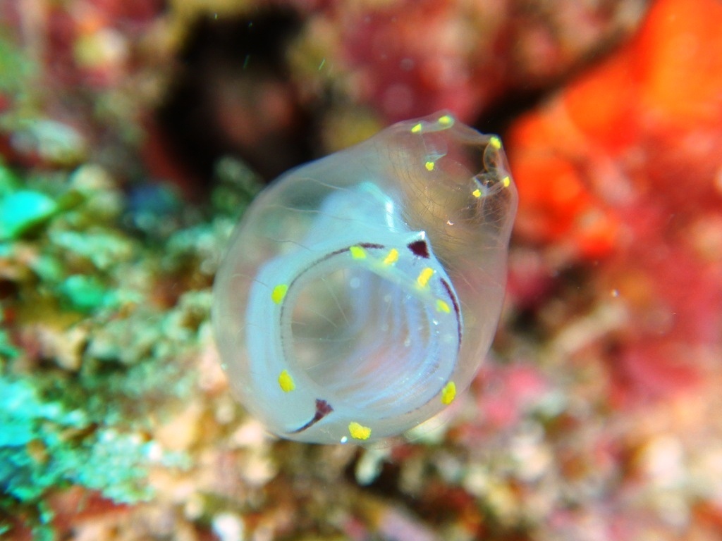 a0189838_20110051.jpg