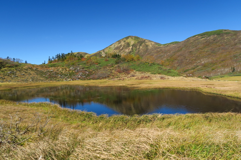 火打山を見ながら天狗の庭まで　写真山行_c0218841_21294218.jpg