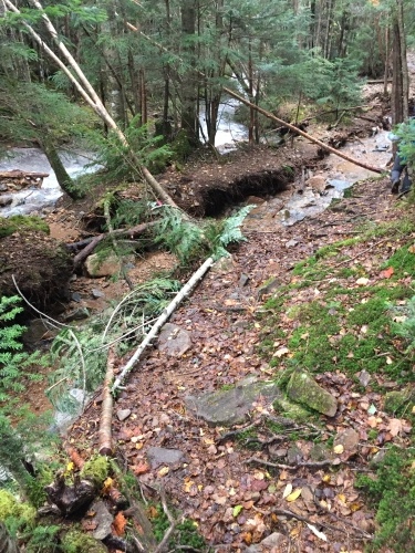 台風19号による毛木平 千曲川源流コース登山道状況_c0369344_00432988.jpeg