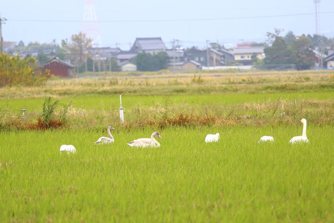 e0403850_05381102.jpg