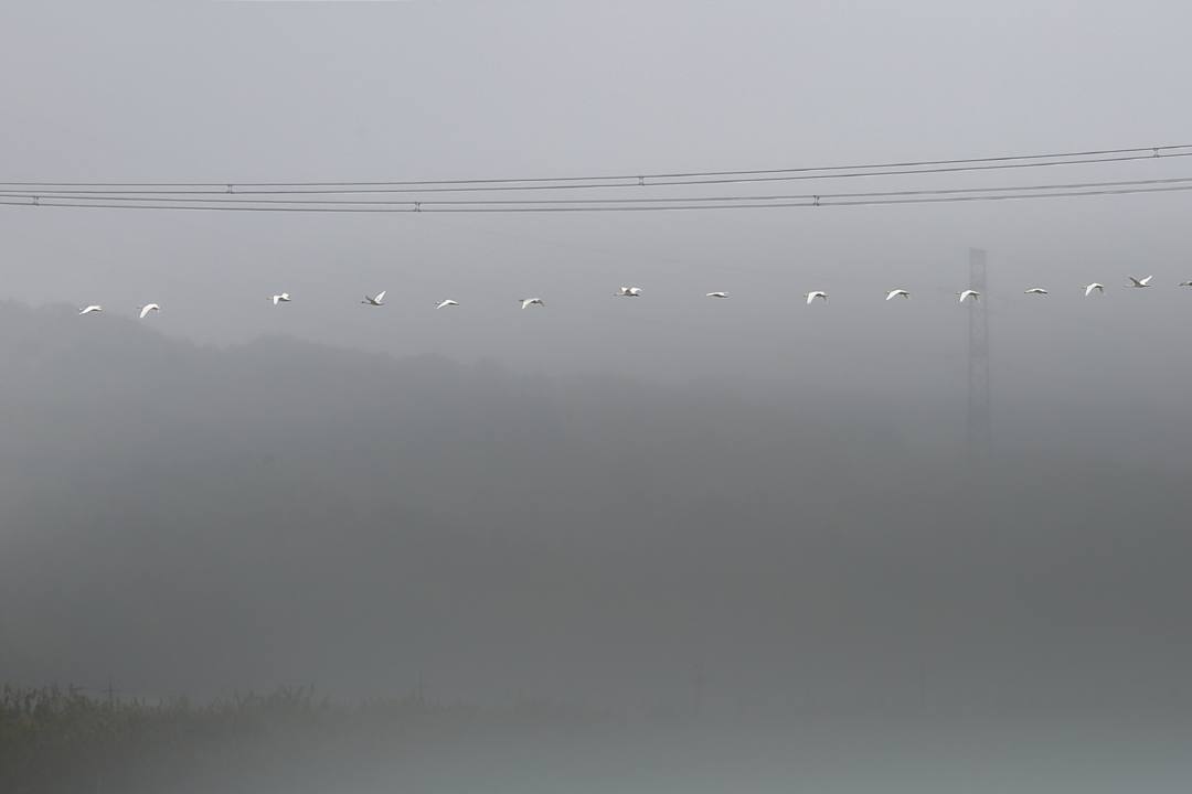 e0403850_05383283.jpg