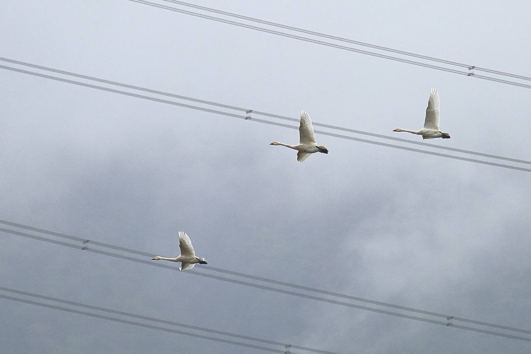 e0403850_05384433.jpg