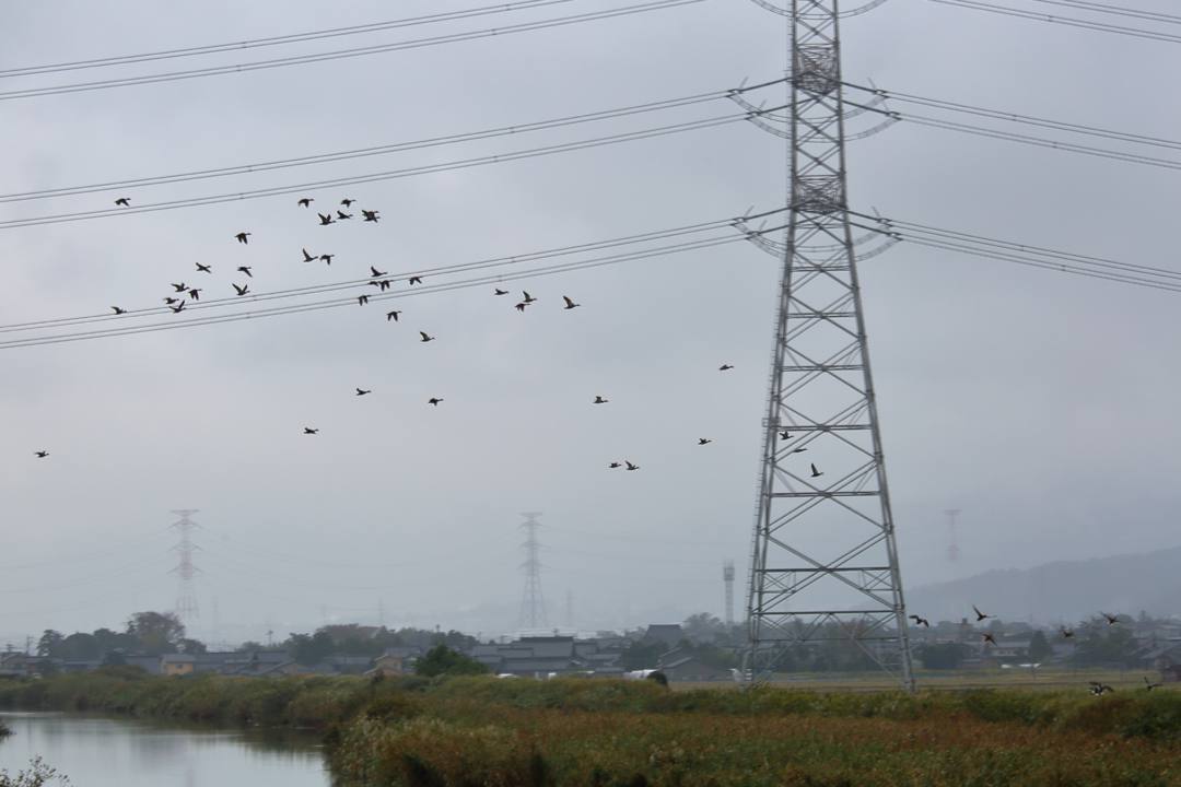 e0403850_05384925.jpg