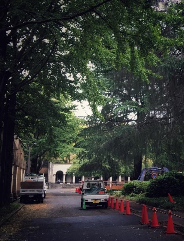 Green_a0271251_18384905.jpg
