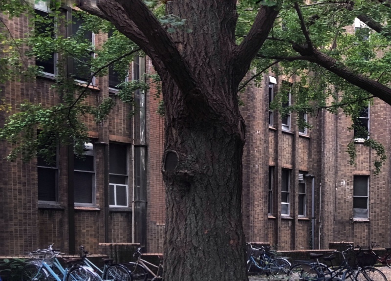 Green_a0271251_18460891.jpg