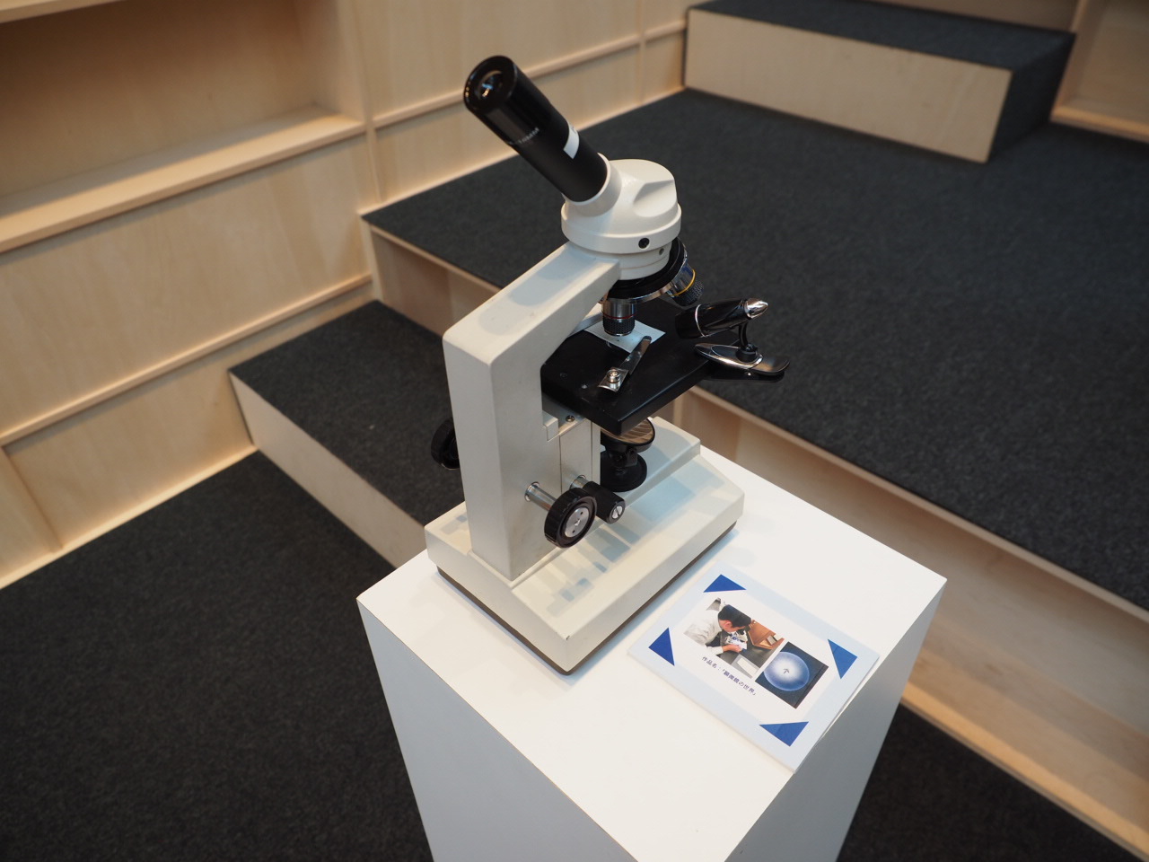 ムサビセレクト展_a0121352_00024291.jpg