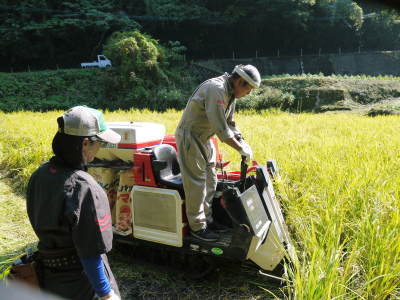 米作りの挑戦(2019)　稲刈りしました！今年は手刈りではなくコンバインで！_a0254656_18133170.jpg