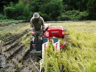 米作りの挑戦(2019)　稲刈りしました！今年は手刈りではなくコンバインで！_a0254656_18275267.jpg