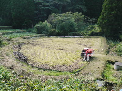 米作りの挑戦(2019)　稲刈りしました！今年は手刈りではなくコンバインで！_a0254656_18322731.jpg