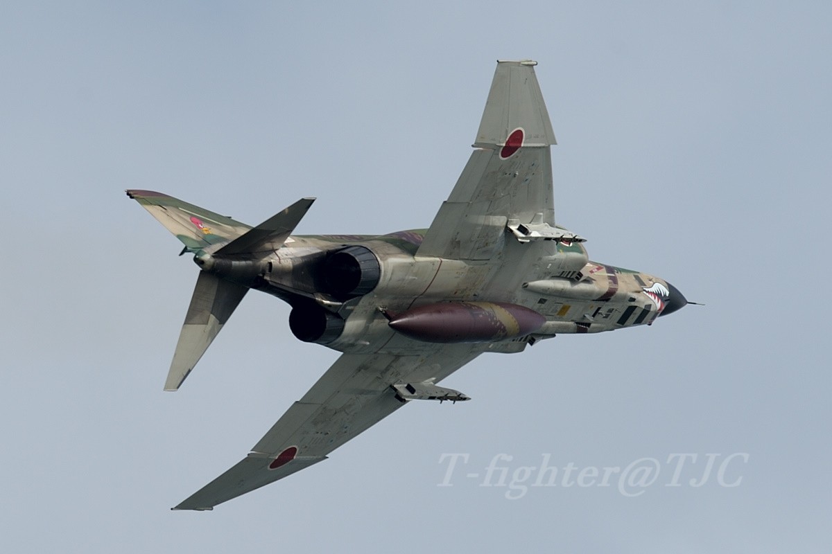第501飛行隊 RF-4E退役記念塗装機 : Option3 第501飛行隊 RF-4E退役記念塗装機 : Option3