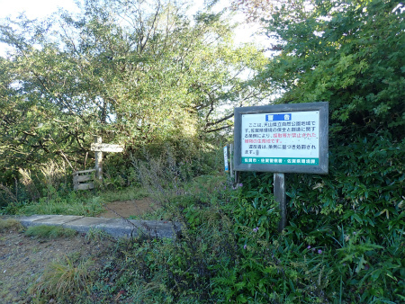 d0182075_00131680.jpg