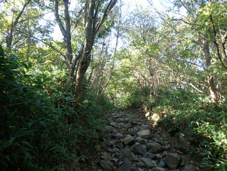 d0182075_00132647.jpg