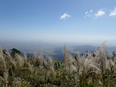 d0182075_00134291.jpg