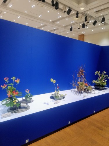 熊本いけばな芸術展　後期　(鶴屋百貨店)_d0195183_00463567.jpg