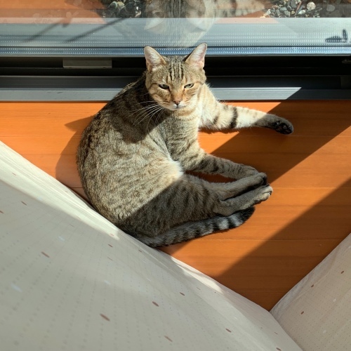 言い訳_e0358096_17122877.jpeg