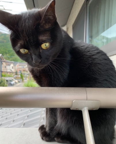 言い訳_e0358096_17124413.jpeg