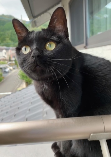 言い訳_e0358096_17130547.jpeg