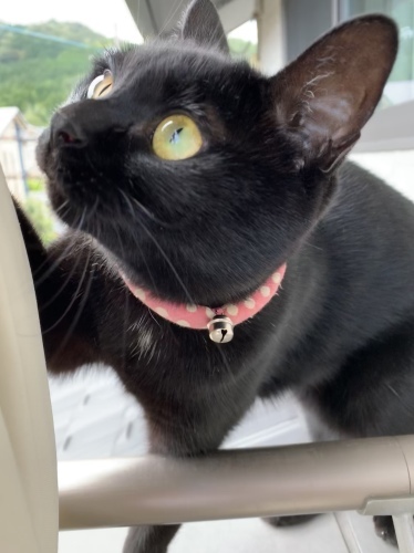 言い訳_e0358096_17131772.jpeg