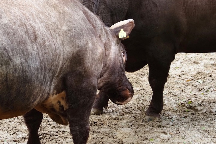 b0016600_153032.jpg