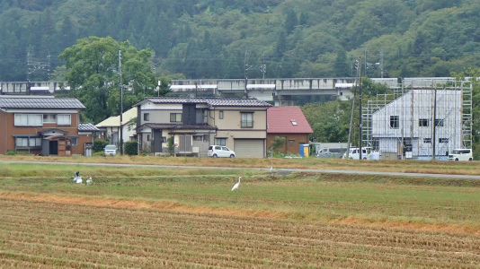 市報(お知らせ版)は届きましたか_c0336902_20130999.jpg