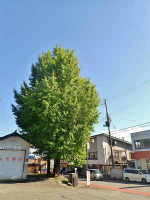 常設テントの再設置!_c0336902_21180806.jpg