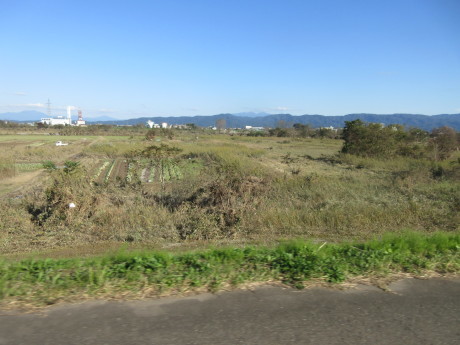 信濃川大水の跡_a0203003_19480042.jpg