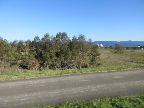 信濃川大水の跡_a0203003_19482060.jpg