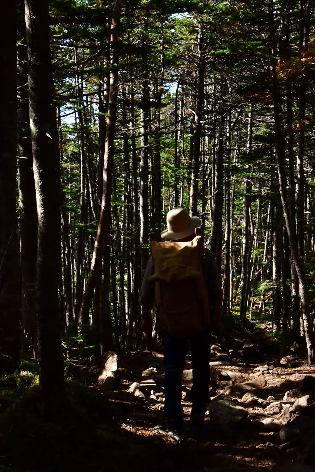 Wandern その2_b0223512_21463366.jpeg