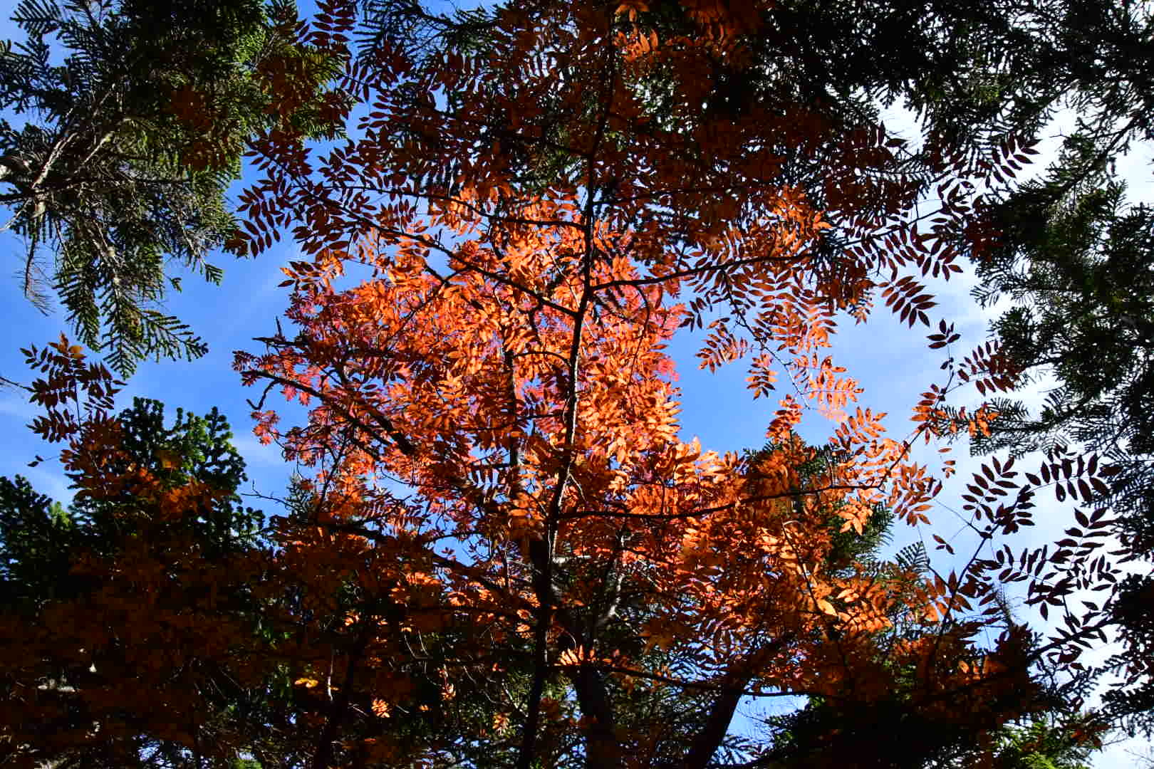 Wandern その2_b0223512_21470490.jpeg