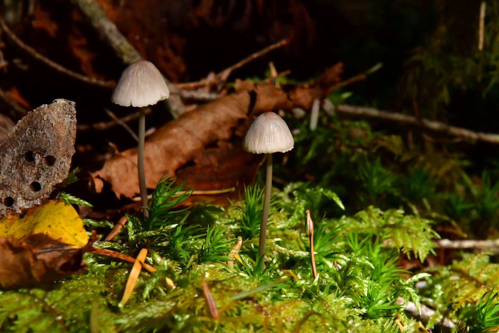 Wandern その2_b0223512_21472632.jpeg