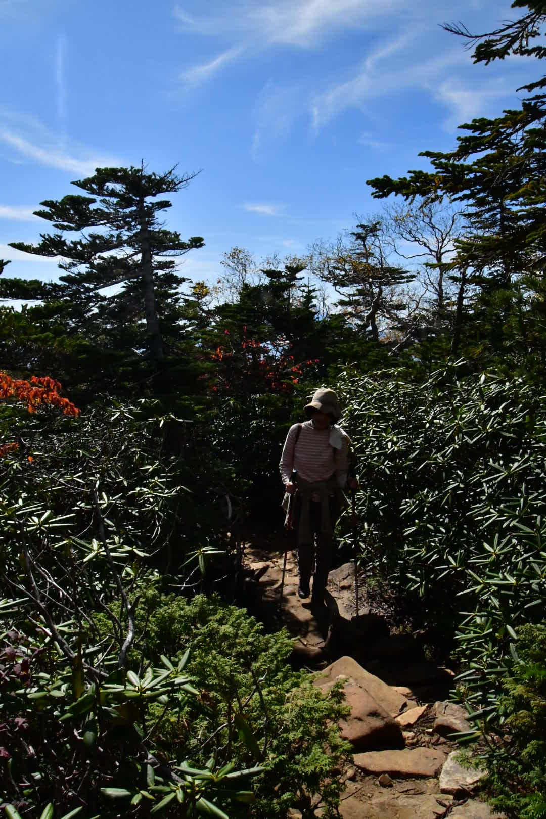 Wandern その2_b0223512_21475252.jpeg