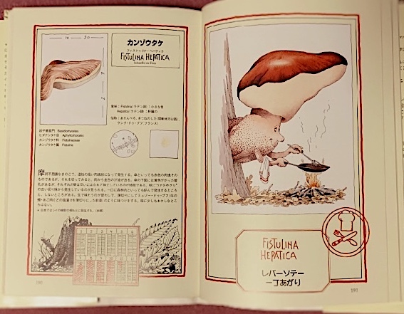 きのこの名優たち - ノンフィクション・教養