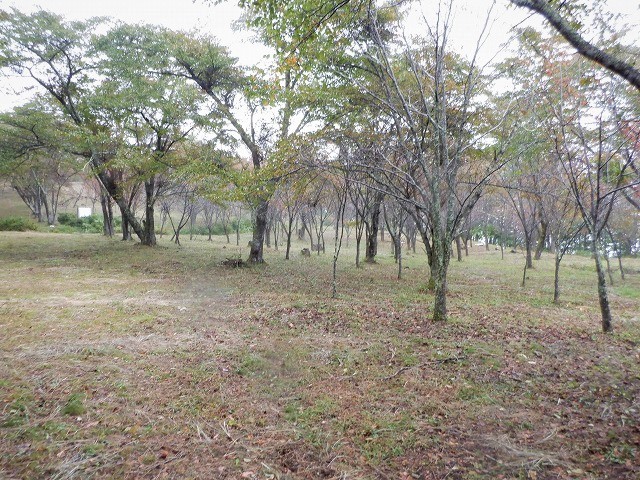 北杜市　秋を感じながら金ヶ岳と茅ヶ岳　　　　　Mount Kanagata in Hokuto, Yamanashi_f0308721_19301534.jpg