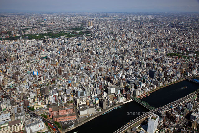 f0133526_11344611.jpg