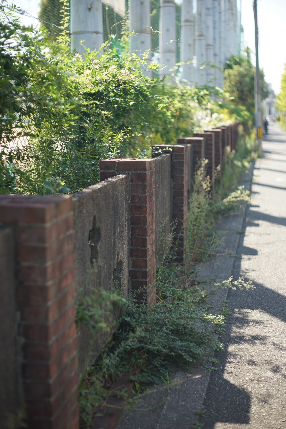 RE オートトプコール 58mm F1.4 で 豊中まで_b0069128_17501072.jpg