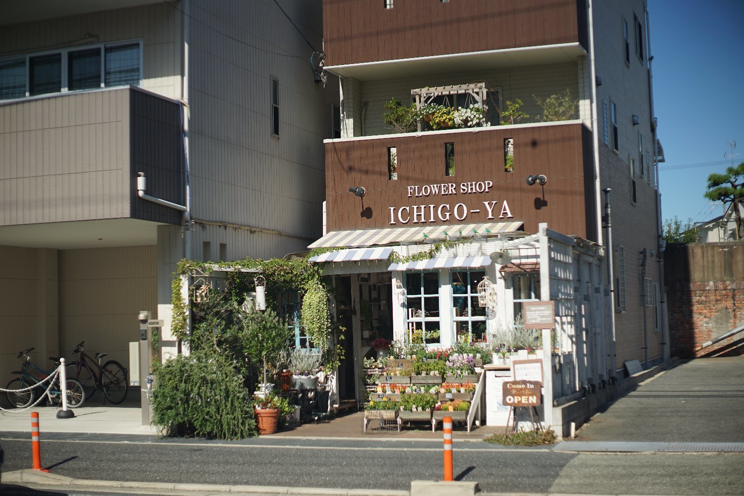 RE オートトプコール 58mm F1.4 で 豊中まで_b0069128_17503504.jpg