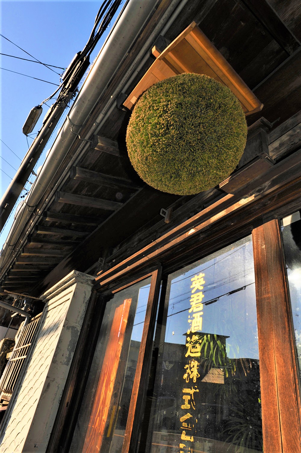 【日本酒】英君 愛山ノ山廃 純米酒 愛山仕込み 蔵元低温貯蔵熟成ver 限定 29BY🆕_e0173738_19235672.jpg