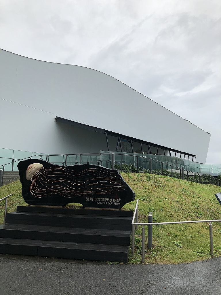 加茂水族館@鶴岡 #2_a0384046_23475505.jpg