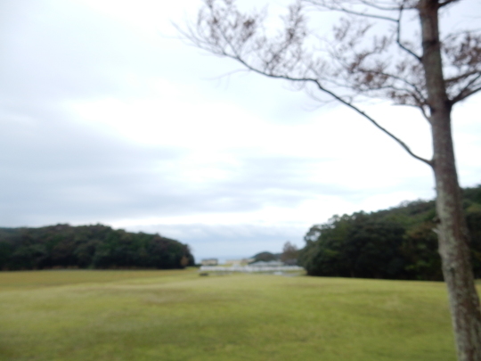 ’19,10,16(水)勝浦も冬仕様!_f0060461_09275749.jpg